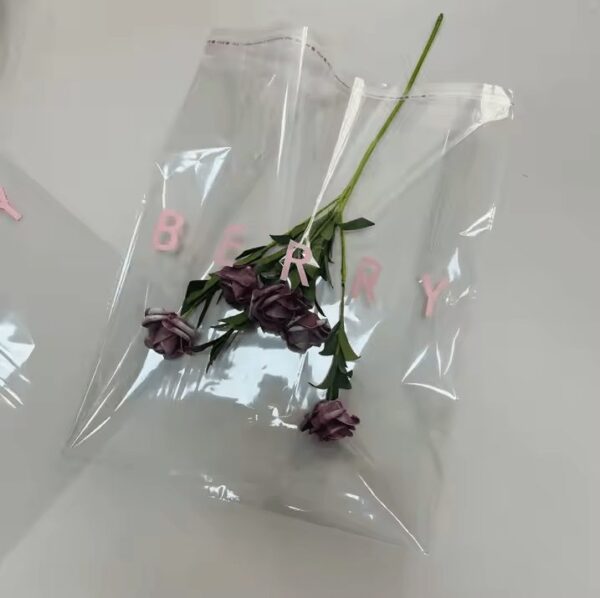Self-Adhesive Bag 5×6 Pec 100
