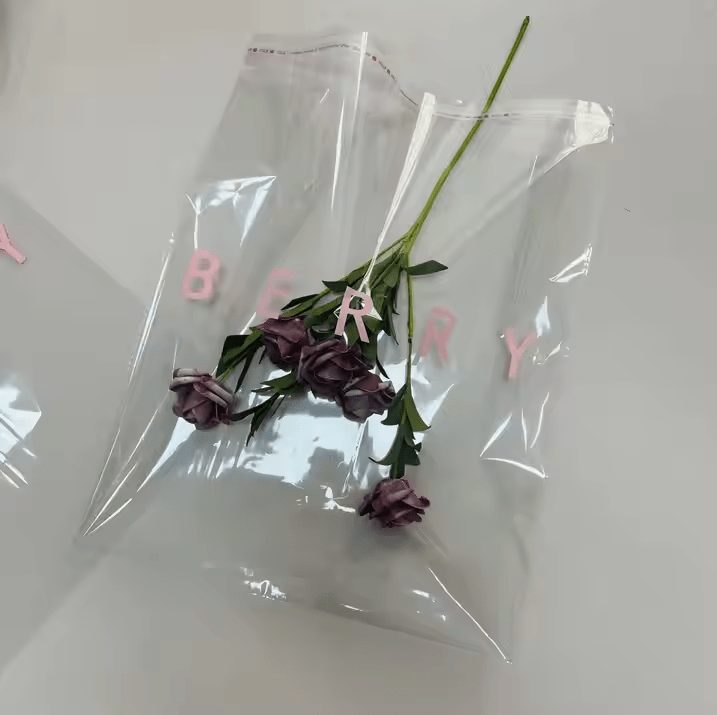 Self-Adhesive Bag 5×6 Pec 100